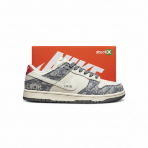 Nike Dunk Low x Dior