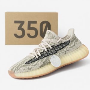 Adidas Yeezy Boost x Dior