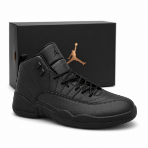 Nike Air Jordan 12